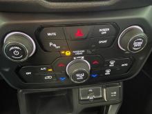 Renegade Longitude 1.8 4x2 Flex 16V Aut. 2020 Revisada 81.000km